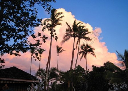 斐济度假村黄昏时的天空图片