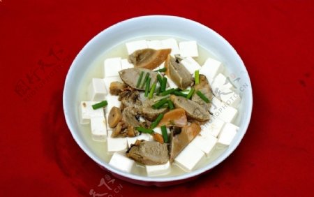 蚌肉豆腐图片