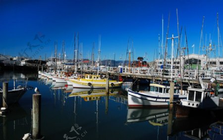 旧金山游艇码头景色图片