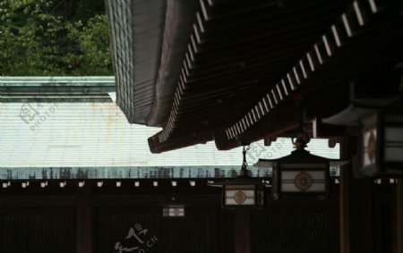 东京明治神宫图片