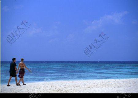 海滩情侣背影图片