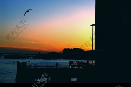 纽约黄昏的十七码头图片