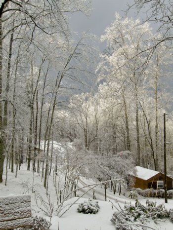 雪景图片