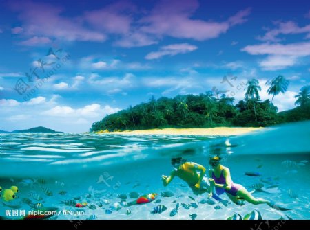 马来西亚海底世界图片
