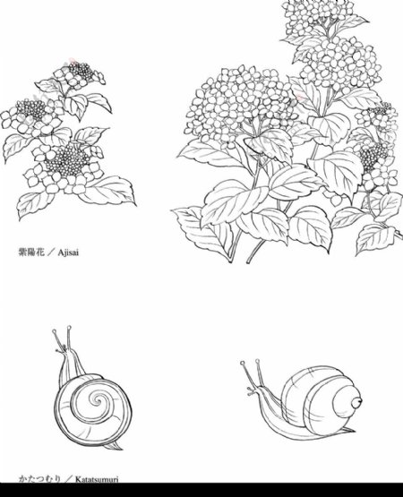 日本花卉纹样图片