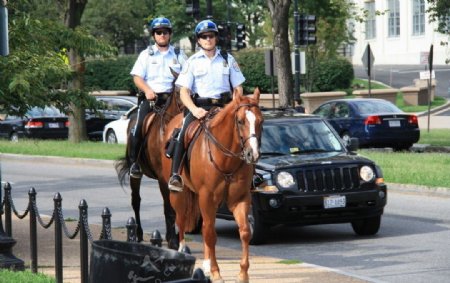 华盛顿街头的美国骑警图片