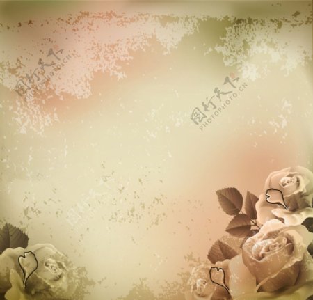 欧式花卉底纹背景图片