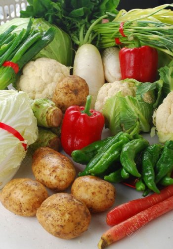 各种蔬菜组合图片