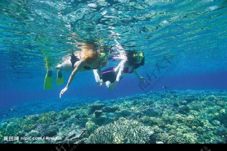 澳洲大堡礁图片