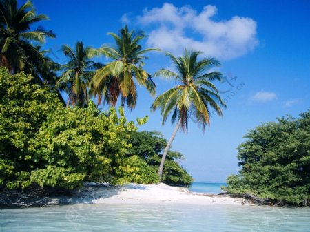 马尔代夫马雷北环礁热带岛屿图片