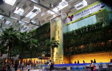 新加坡樟宜机场T2航站楼图片