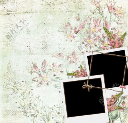 韩式花朵相框图片