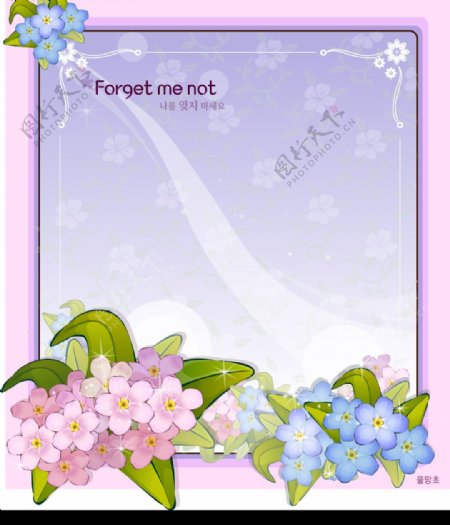 韩国花框图片