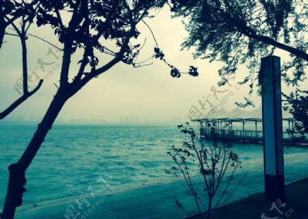 金鸡湖图片