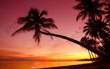 马尔代夫海滩夕阳图片