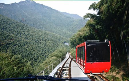 南山竹海摄影图片