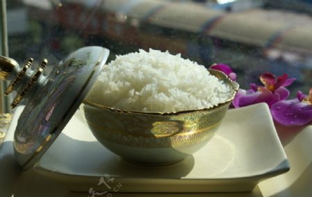 泰国碗装米饭图片