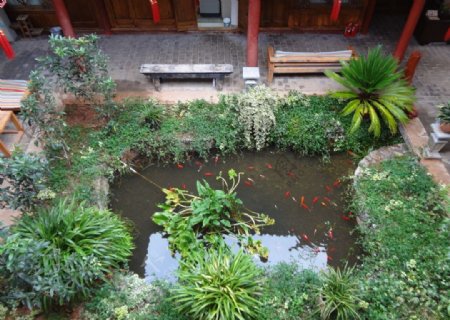 庭院水池图片