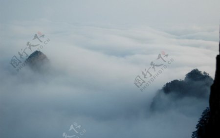 高山云海图片