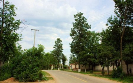 村道图片