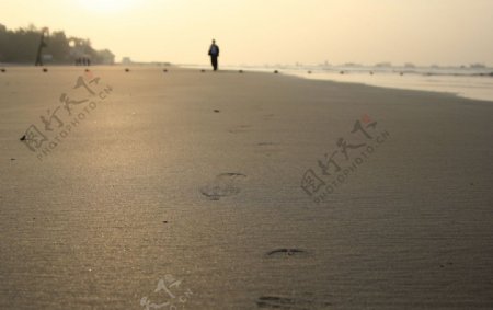 晨光中的沙滩图片