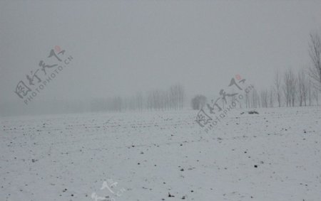 覆雪的田野图片