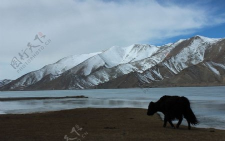 西藏景色图片