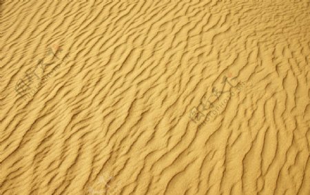 金色沙子波纹图片
