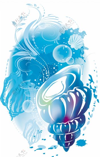 抽象海螺设计线条花纹图片