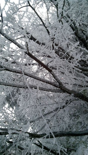 峨眉雪景图片