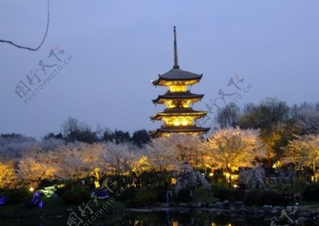 东湖夜景图片