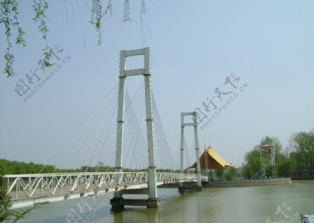 生态园吊桥图片