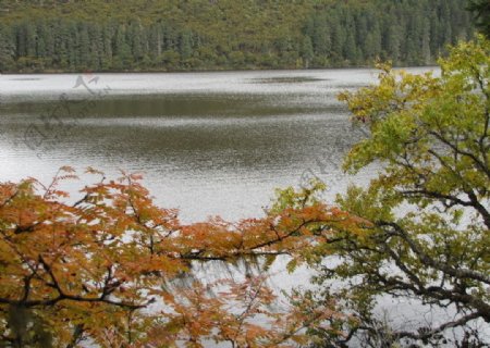 山水湖泊森林图片