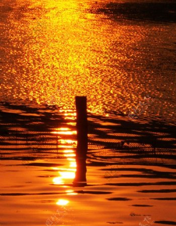 西湖夕阳图片