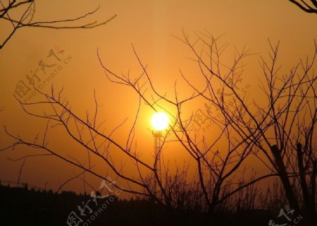 夕阳太阳图片