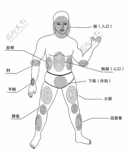 跆拳道身体重要攻击部位示意图图片