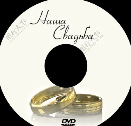 婚礼DVD盘贴插纸图片