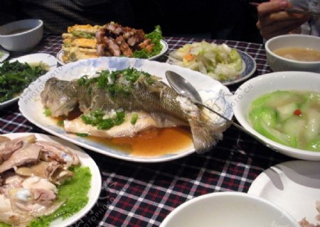 清蒸轤魚图片