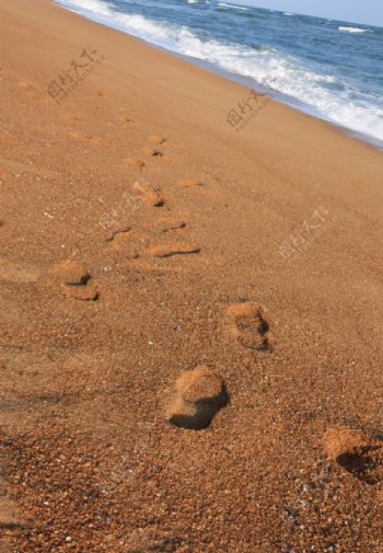 沙滩漫步图片