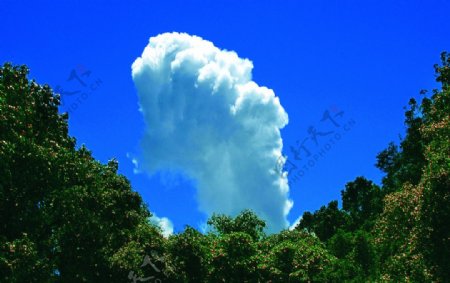 高黎贡山之云图片