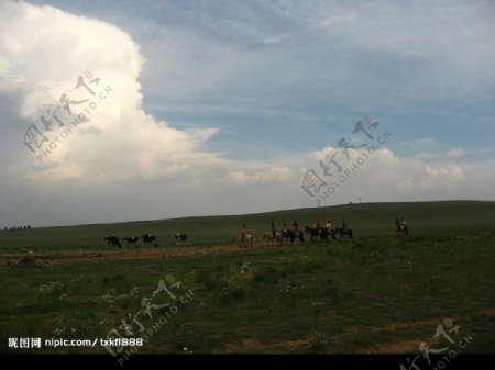 雨前的内蒙古希拉穆仁草原图片
