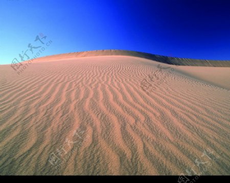 沙漠之海图片