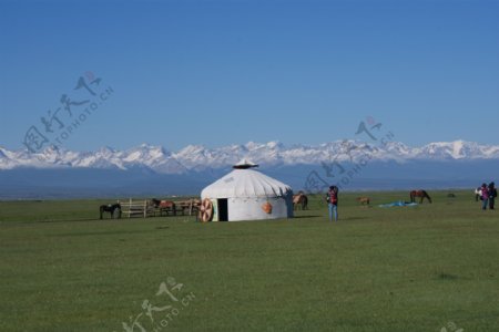 草原上的帐篷图片