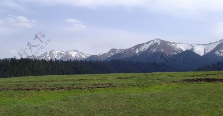 新疆乌鲁木齐南山图片