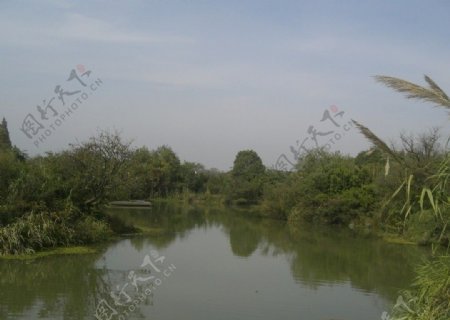 杭州湿地公园图片