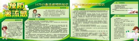 H7N9型禽流感宣传展板图片