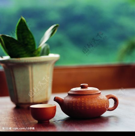 茶壶图片