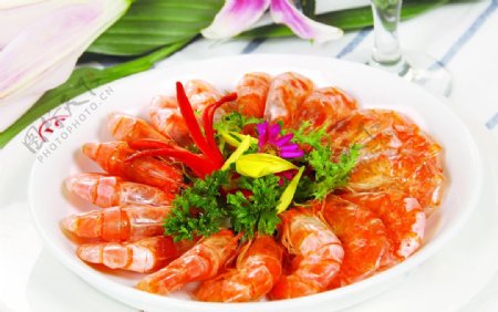 杭式虾干图片