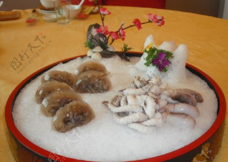 章鱼土笋冻图片
