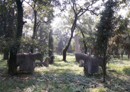 孔林墓园图片